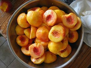 Peach Thymbra